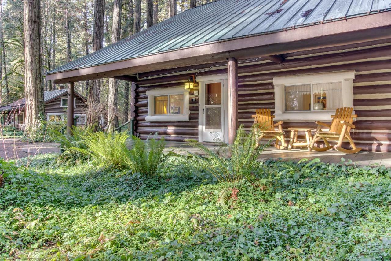Renee'S Log House Βίλα McKenzie Bridge Εξωτερικό φωτογραφία